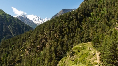 Снежные вершины гор, фото Дениса Агапова