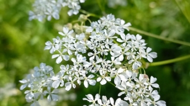 Фото нашего гида Алексея Петровского