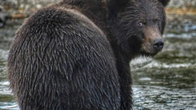 Фото из архива Клуба