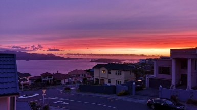 Gurtej Singh on Visual Hunt