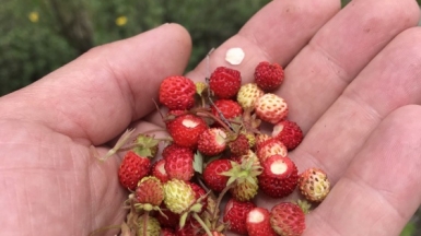 Фото наших Странников