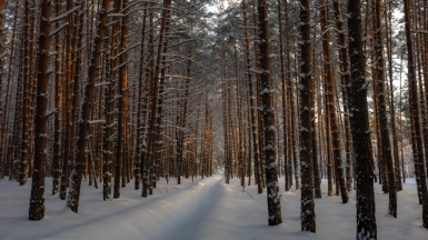 Фото нашего гида Михаила Верёвченко