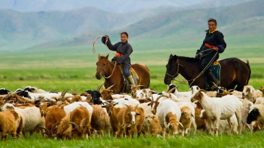 Фото: Paulo Fassina on VisualHunt