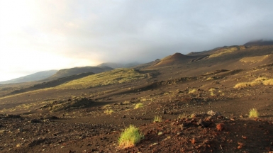 Есть ли жизнь на Марсе? Фото из архива Клуба