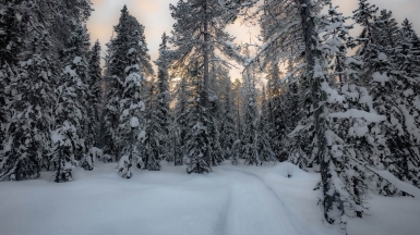 Фото нашего гида Михаила Верёвченко