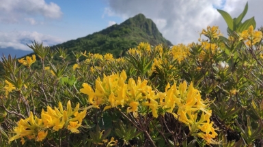 Фото наших Странников