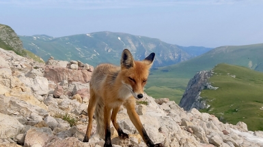 Фото наших Странников