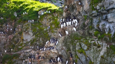 Фото из архива Клуба