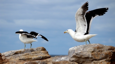 Фото: Lena Bauermeister, unsplash.com