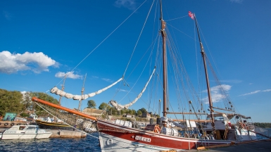 Фото нашей Странницы Татьяны Руновой