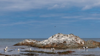 Фото из архива Клуба