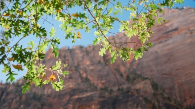 Фото: PJ Gal-Szabo, unsplash.com