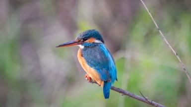 Фото гида Михаила Верёвченко