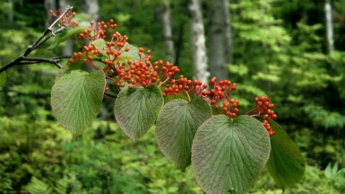 Фото: Tatters ✾, visualhunt.com