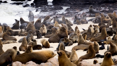 Фото: Seiji Seiji, unsplash.com