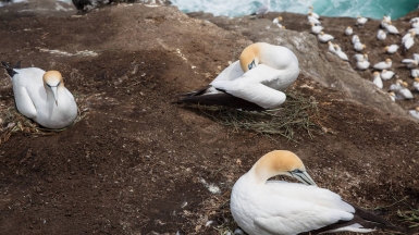 Фото нашей Странницы Татьяны Руновой