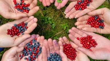 Фото наших Странников