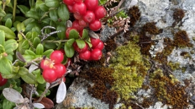 Фото наших Странников