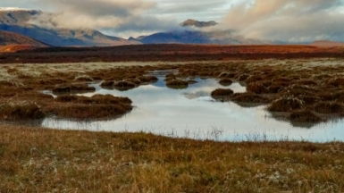 Фото: Kameron Kincade, unsplash.com