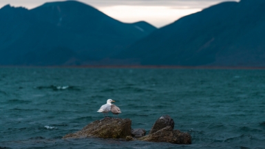 Фото наших партнеров