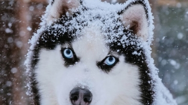 Фото из архива Клуба