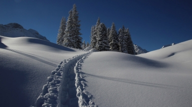 Фото: Rainer Bleek on unsplash