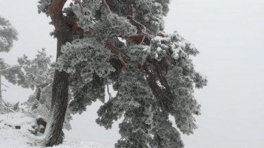 Фото нашего гида Елены Кузура