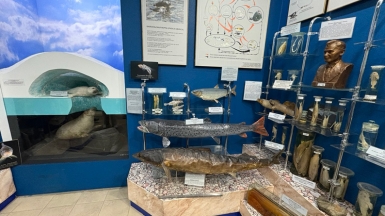 Фото нашего Странника Максима Ткаченко