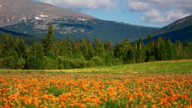 Фото нашей Странницы Светланы Соколовой