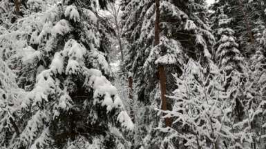 Фото нашего гида Александра Чудновского