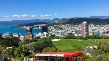 Веллингтон. Фото: Jil Beckmann, unsplash.com