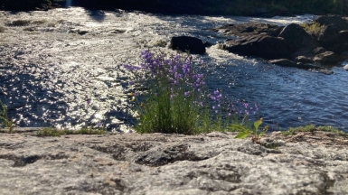 Фото Татьяны Ладыкиной