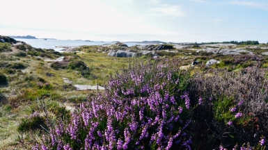 Фото: Darya Tryfanava, unsplash.com