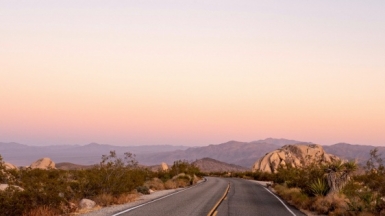 Фото: Davey Heuser, unsplash.com