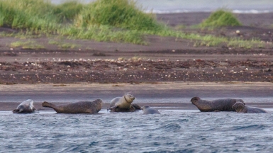 Фото: Jac. Janssen, visualhunt.com