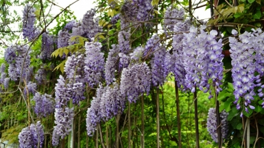 Фото нашего гида Вероники Кузенковой