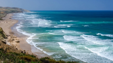 Автор: И.Максим, источник: visualhunt