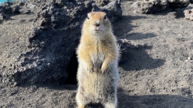 Фото наших Странников