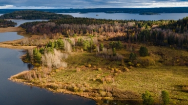 Фото Dmitry Grachyov для Unsplash.com