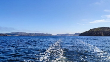 Фото нашего гида Галины Шелудько