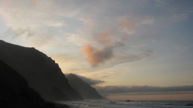 Фото: SuricataJ, wikimedia.org