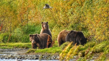 Фото из архива Клуба