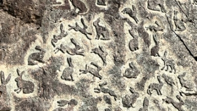 Фото из архива Клуба