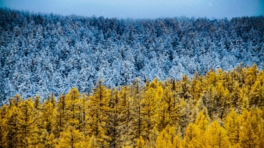 Фото: kaze on unsplash
