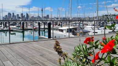 Фото наших партнеров JustGo ThereNZ