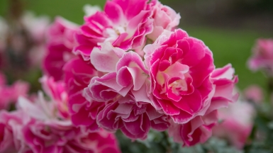 Фото нашей Странницы Татьяны Руновой