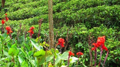 Фото нашего гида Лики Майстровой