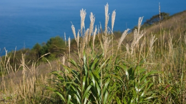 Фото: mutolisp, visualhunt.com