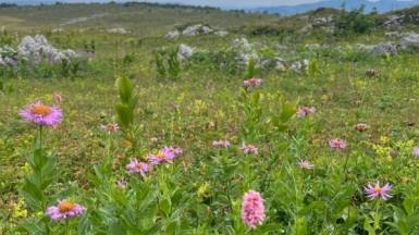 Автор фото: наш Странник Артём Кучма