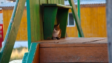 Фото Вероники Кузенковой